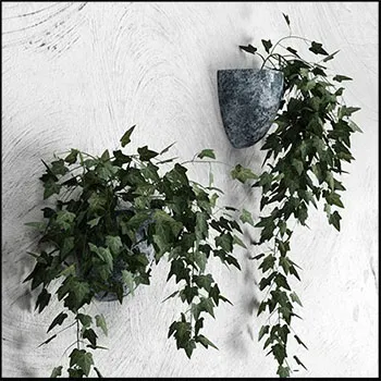 ǽ�ϱڹһ�����ɫֲ�ﳣ����3Dģ��