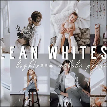 6 ĪϻҰɫϵLRԤCLEAN WHITES lightroom presets