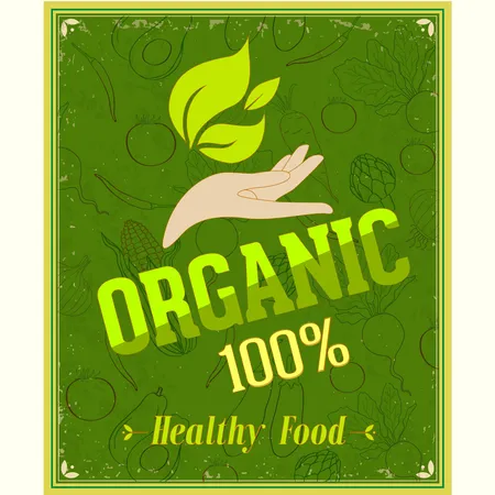 �л�ʳƷ������� - ������ɫװ��