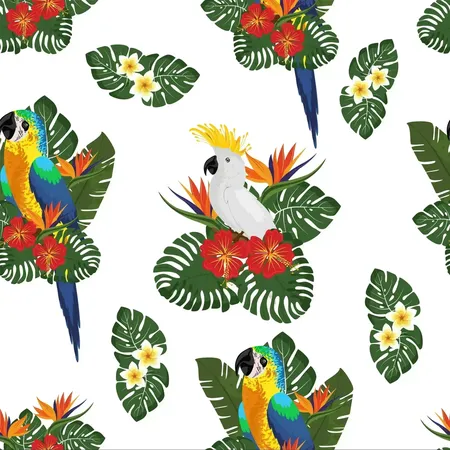 ���ֲ������Ҷ����Ȼͼ��