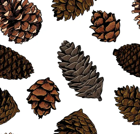 �����ֻ澭���ɹ�ͼ��