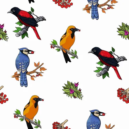 ���Ұ����������ͼ��