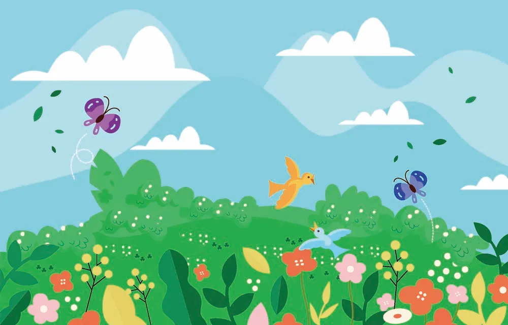 Flowers And Butterflies In Spring