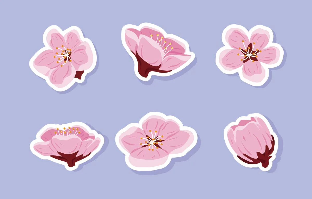 Peach Blossom Sticker Set