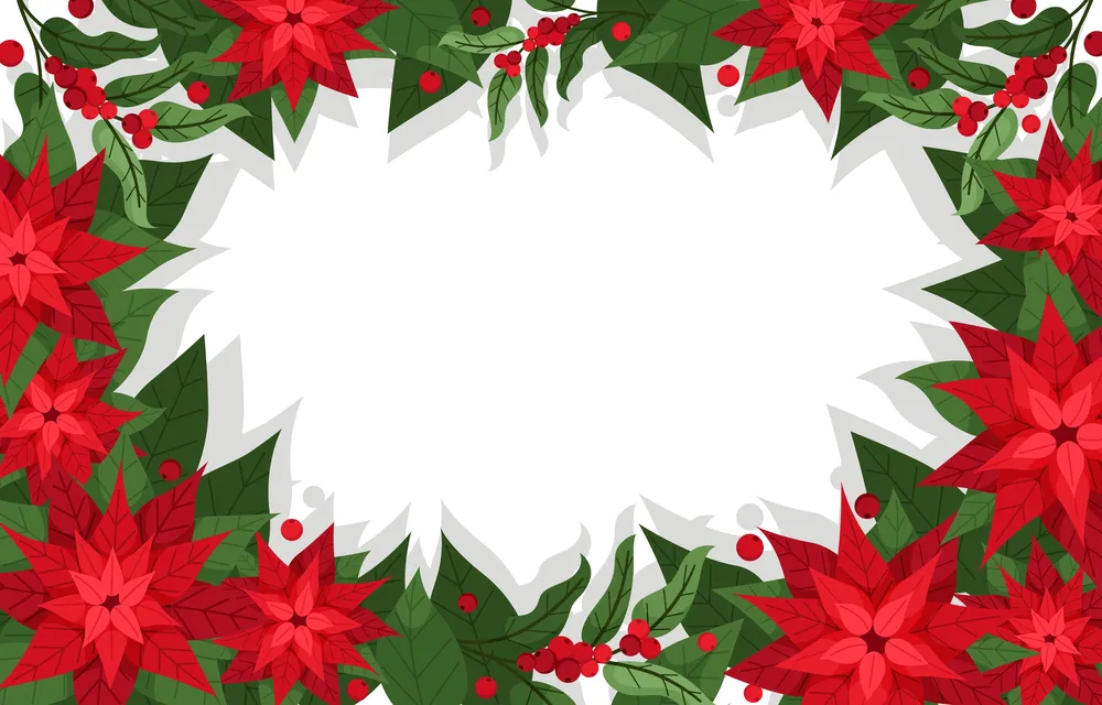 Poinsettia Red Flowers Background