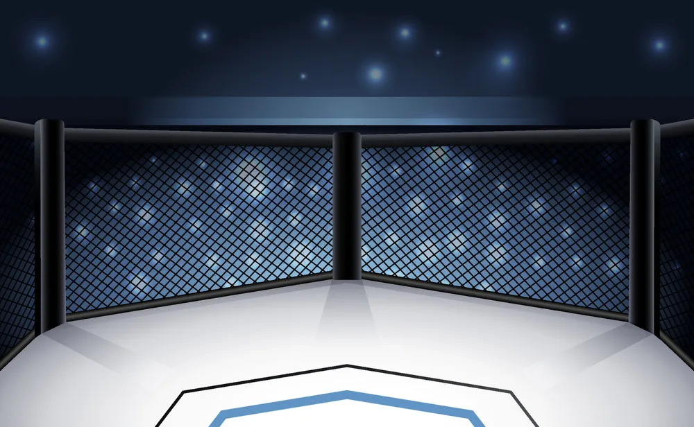 MMA Stage Background