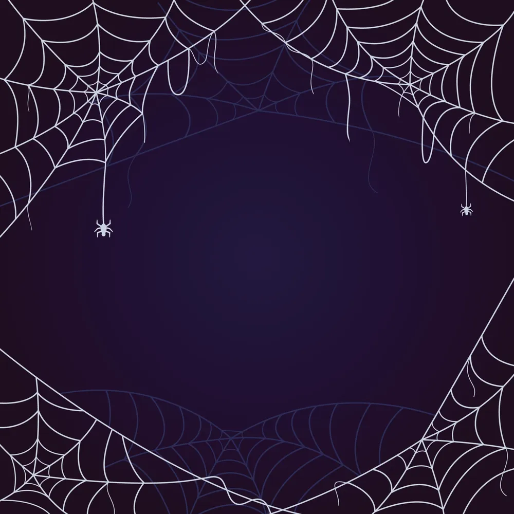 Spider Web on Blue Background