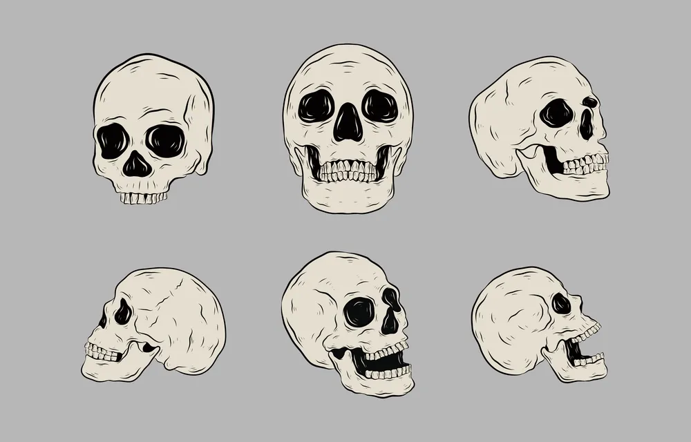 Realictic Skull Hand Drawn Element