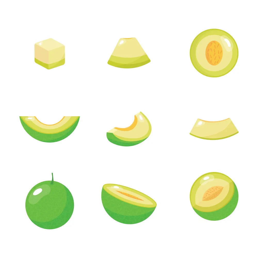 Melon Fruits Collection