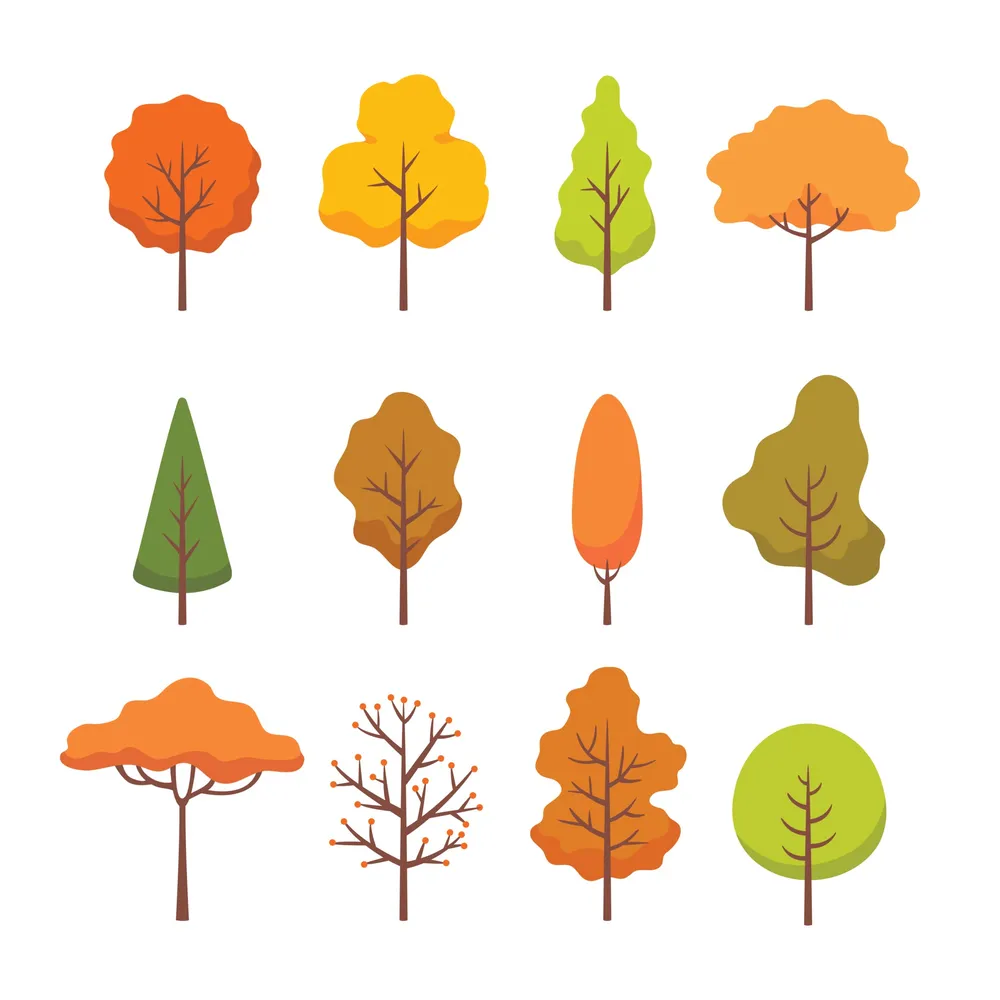 Collection of Different Autumn Tree