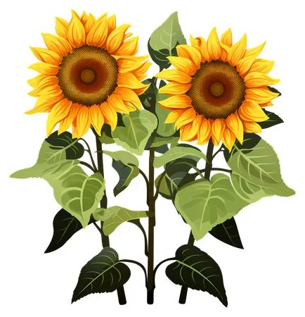 ʢ�������տ��Բ廭PNG����ز�