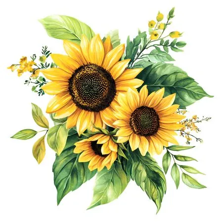 ʢ�����տ�����PNG���ͼ2