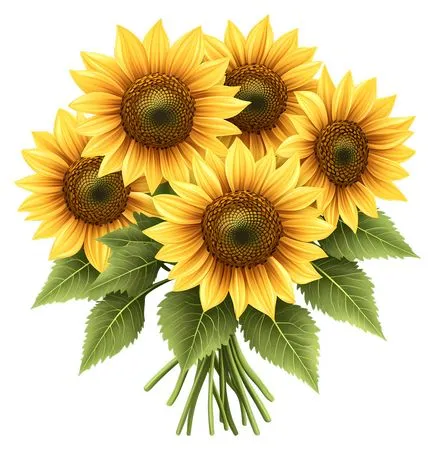 ʢ���������տ�PNG���ͼ4