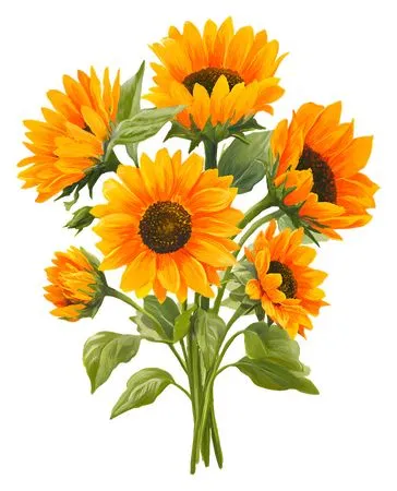 ���տ������廭PNG���ͼ2