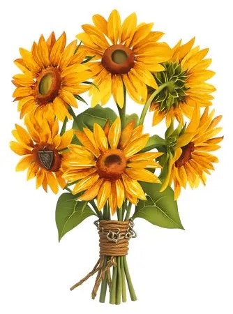 ���տ������廭PNG����ز�4