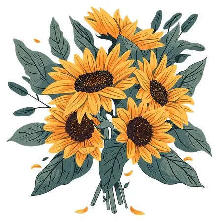 �ֻ����տ������廭PNG���ͼ