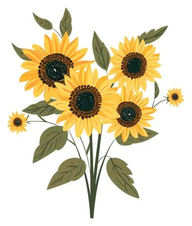 ����ֲ�����տ�����PNG���ͼ