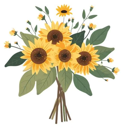 ����Ҷ���տ�����PNG����ز�