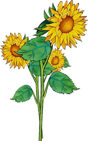 �廭���տ�����PNG���ͼ