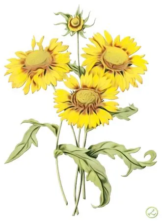 ���տ������廭PNG����ز�8