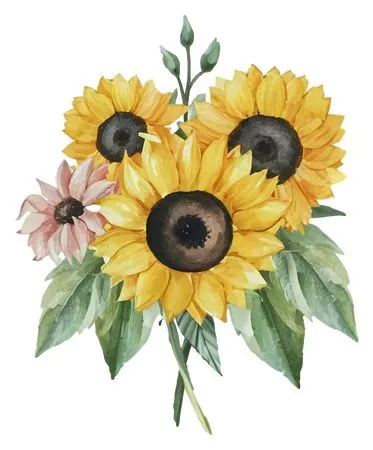 ��ͨ�������տ������廭PNG���ͼ