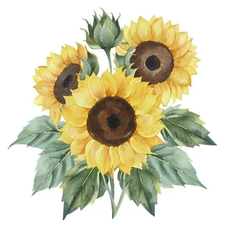 ��ͨ�������տ������廭PNG���ͼ2