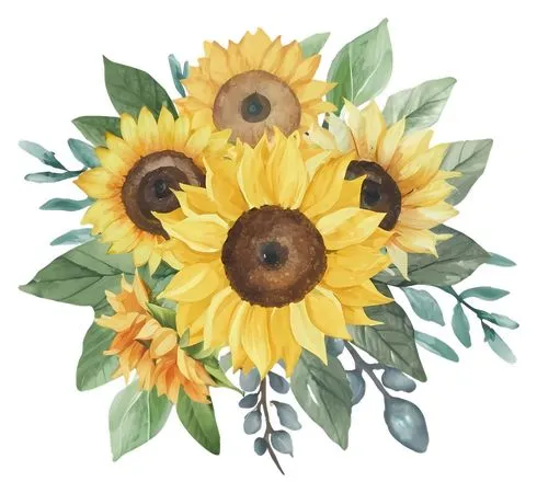 ��ͨ���տ�����ˮ�����PNG���ͼ