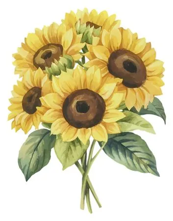 ��ͨ���޻�ɫ�������տ�����PNG����ز�