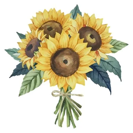 ��ͨ���տ������廭PNG���ͼ