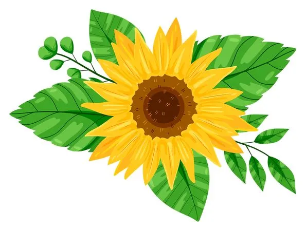 �������տ���Ҷ����PNG����ز�