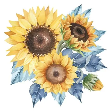 ��ͨ������Ҷ���տ�����PNG���ͼ