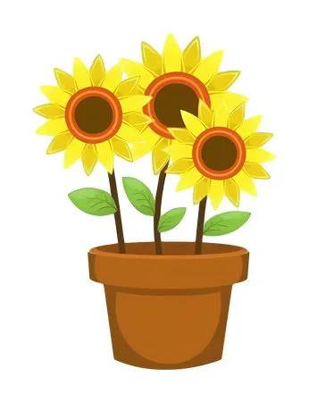 �������տ���ɫ����PNG���ͼ