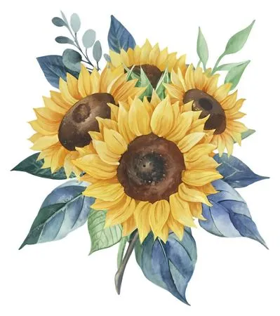 ��ͨ���տ������廭PNG����ز�2