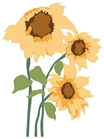 ��ͨ�������տ������廭PNG����ز�