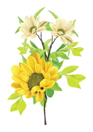 �滭��ɫ���տ����ܻ���PNG����ز�