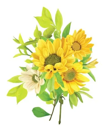 ����������Ҷ���տ�����PNG����ز�