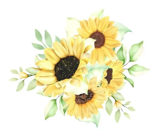 ������ɫ���տ�����PNG����ز�2