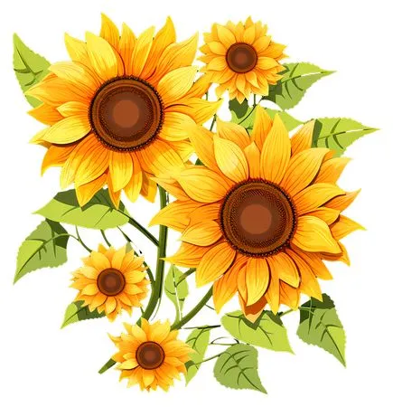 �ֻ����տ�ï����Ҷ�������տ�PNG���ͼ