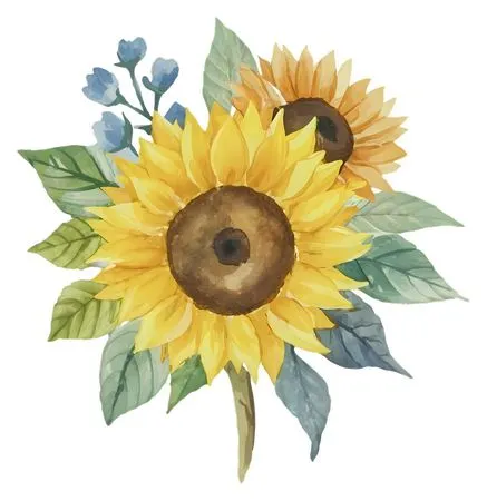 ������ɫ���տ�Ҷ��PNG���ͼ