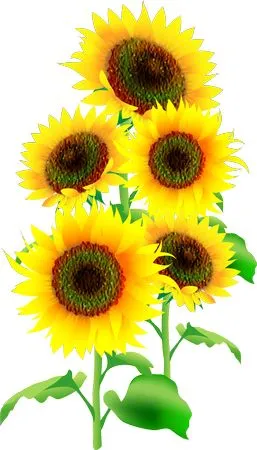 ������ɫ���տ�PNG���ͼ2