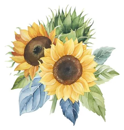 ��ͨ�����ɫ���տ�Ҷ��PNG���ͼ