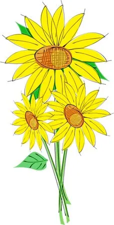 ������ɫ���տ��廭PNG���ͼ