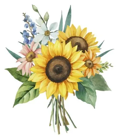 ��ͨ���տ���ϻ��ܻ���PNG���ͼ