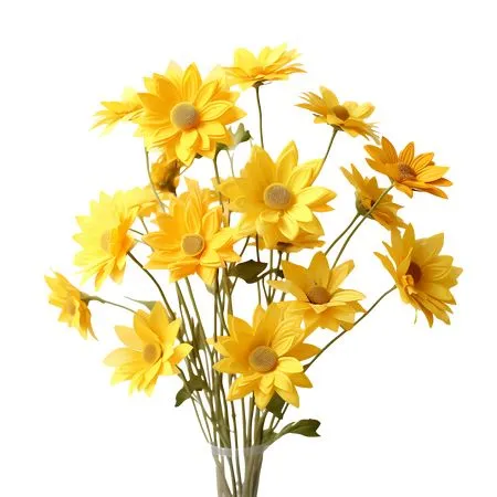 ������ɫ���տ������廭PNG���ͼ2