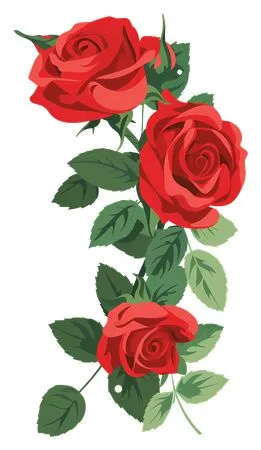 ��ɫõ�廨���廭PNG���ͼ