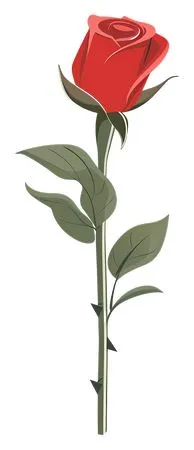 ��ɫõ�廨���̾��廭PNG���ͼ