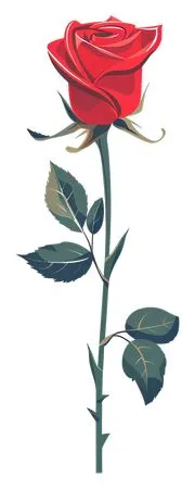 ���ź�ɫõ�廨��Ҷ��PNG���ͼ