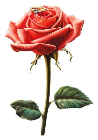 ��ɫõ�廨�ͽ�ָ��������PNG���ͼ