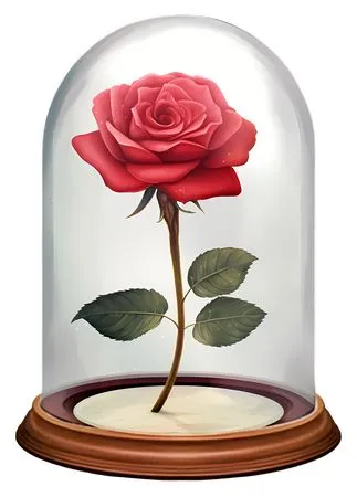 ���������ź�ɫõ�廨PNG���ͼ