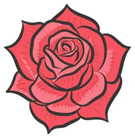 ��������ɫõ�廨�廭PNG���ͼ